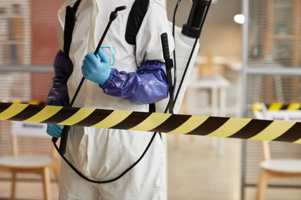 Professional Biohazard Cleanup technician working in Mount Vernon, TX